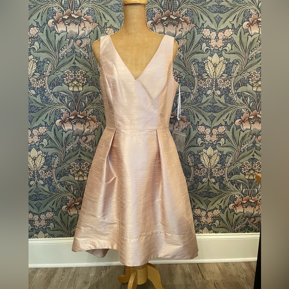 Stunning Alfred Sung Cocktail Hi-low Dress in Pearl Pink 12
